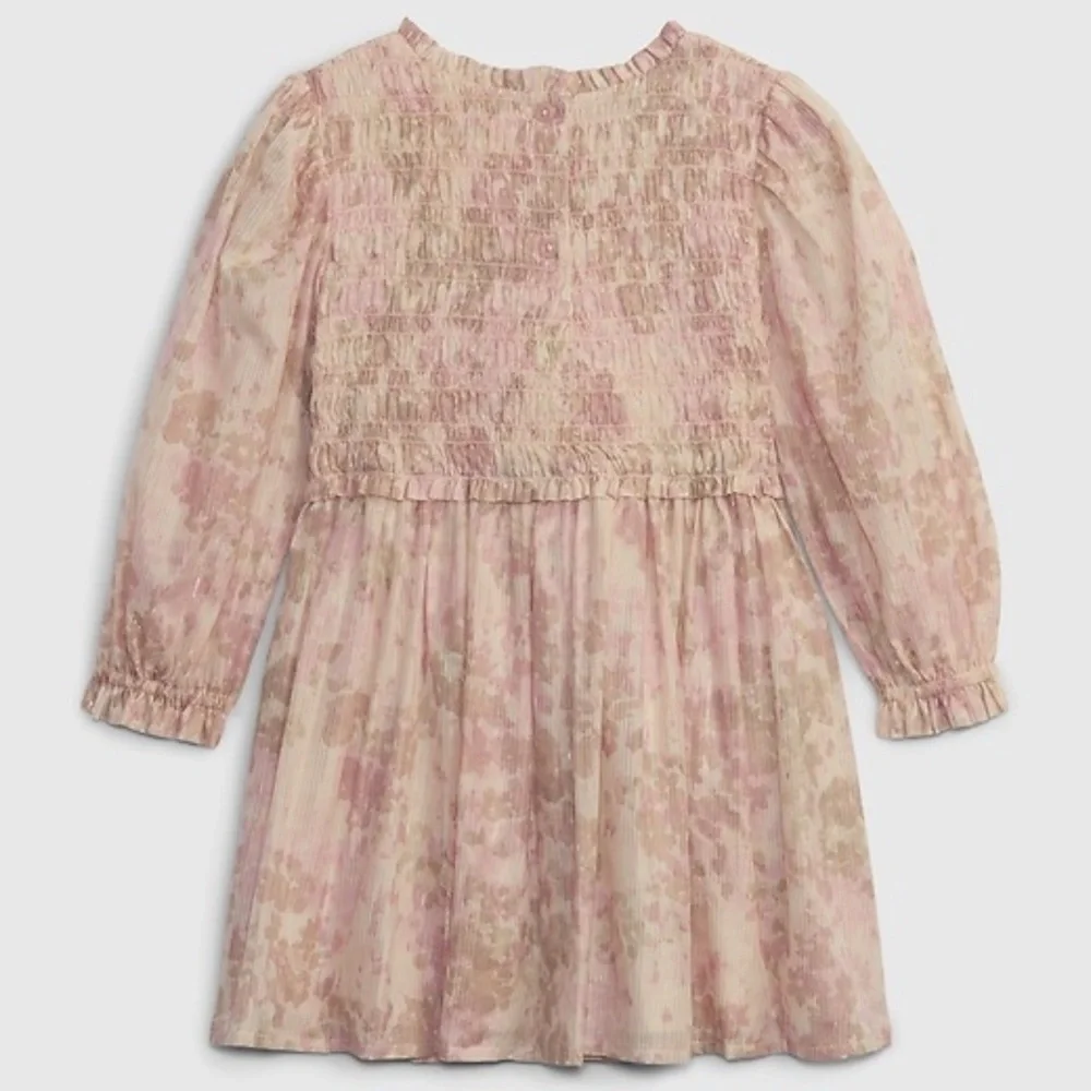 Baby GAP Toddler Smocked Metallic Dress 5T
